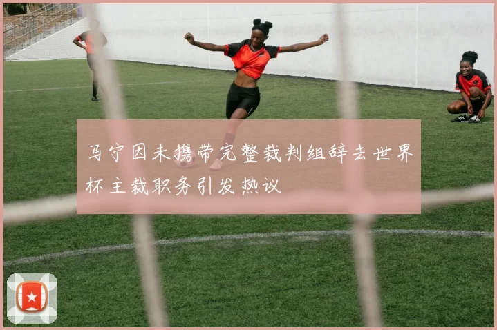 马宁因未携带完整裁判组辞去世界杯主裁职务引发热议